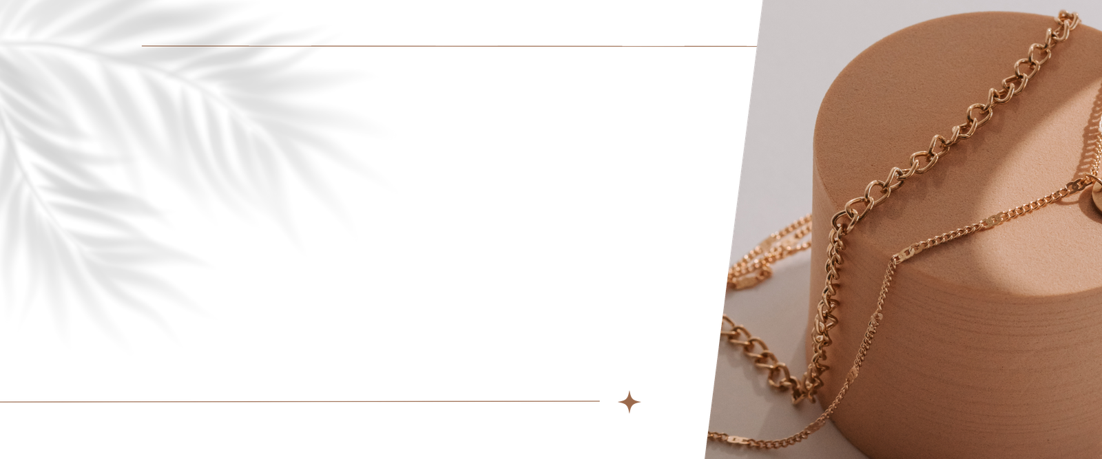 bhanu 1440x600